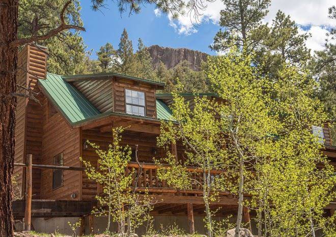 Rainbow trout ranch