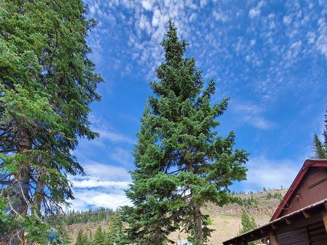 Grand mesa lodge