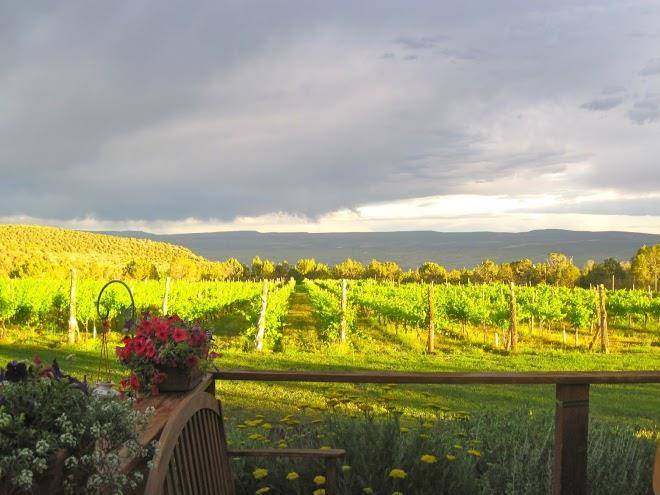 Leroux creek inn & vineyards