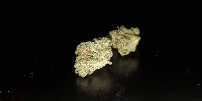 Minturn Mountain Motel Image