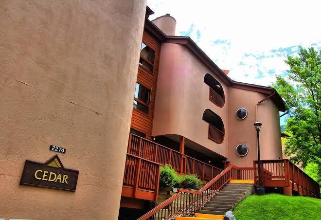 Cedar at streamside