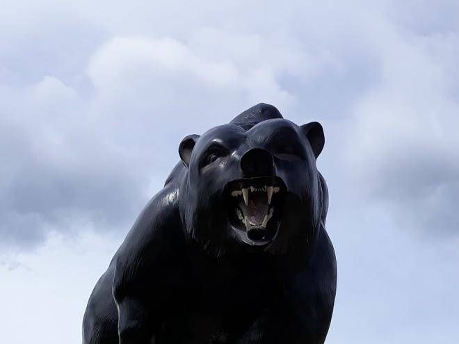 Black bear rv park & motel
