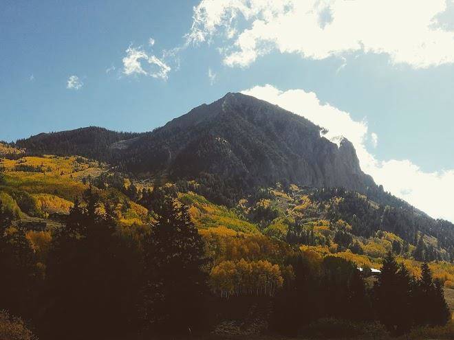 Evergreen Condos Image