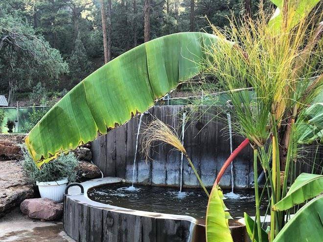Durango hot springs resort & spa