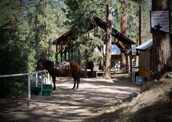 Elk point lodge