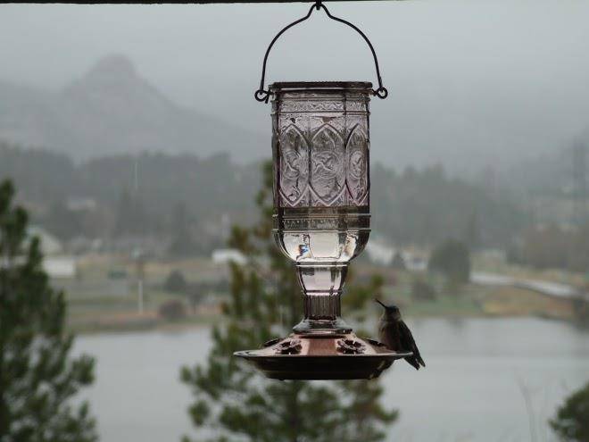 Estes lake lodge