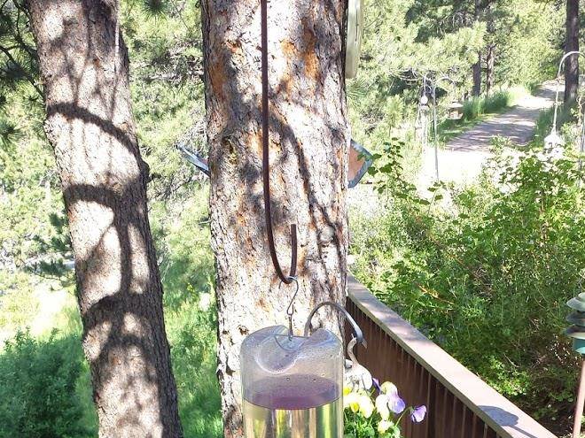 Kokopelli inn