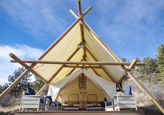 Black tree resort
