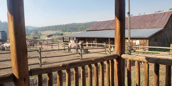 Tarryall river ranch