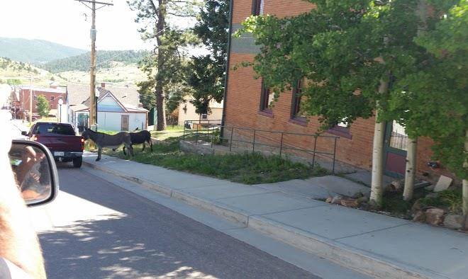 Gold Strike Inn Image