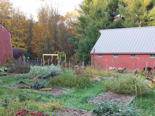 Udderly Woolly Acres Image