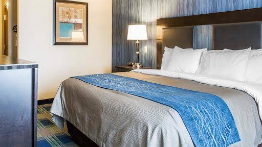 Comfort inn & suites
