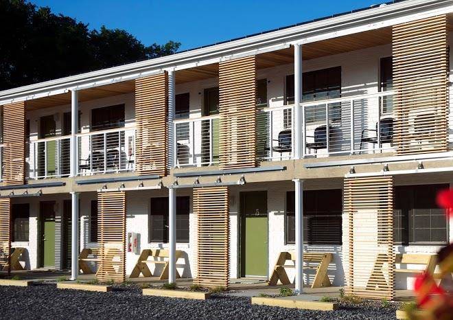 Dogfish inn