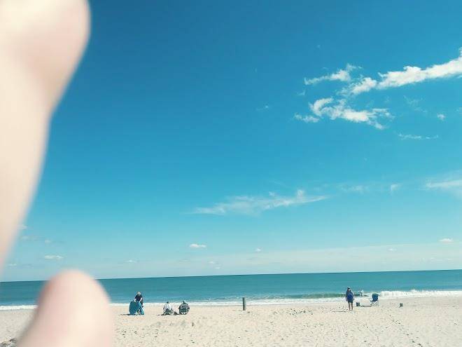 Holly haven