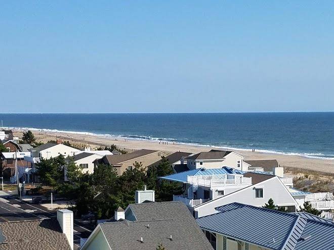 Sea colony