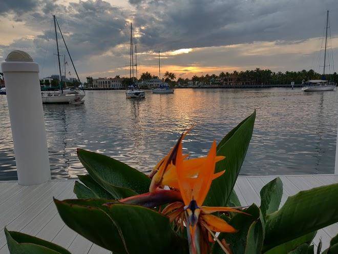 Harbor haven