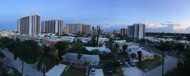 Ocean palms