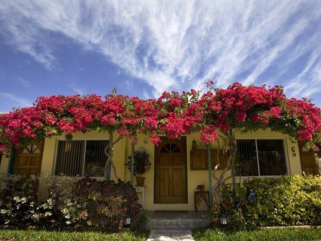 The desoto oceanview inn