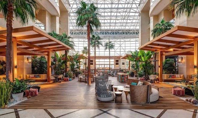 Diplomat beach resort hollywood curio collection by hilton