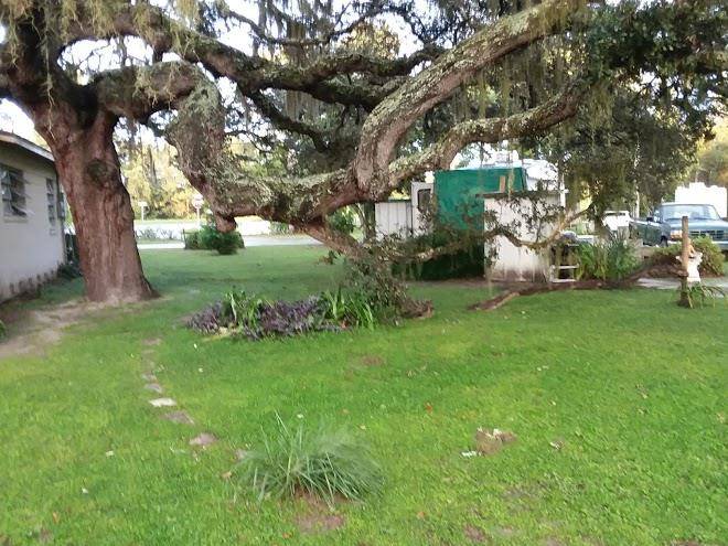 B & b rv park
