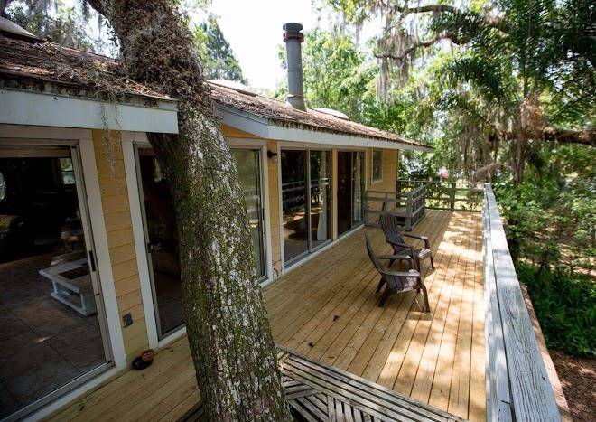Riverfront treetop bungalow