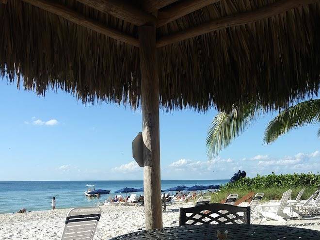 Gulf pointe resorts