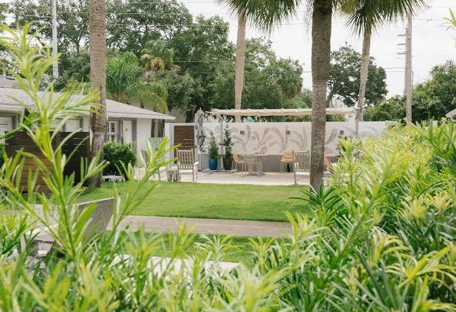 Hotel palms