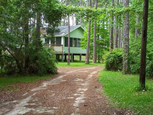 Whispering pines of cape san blas