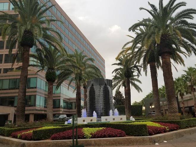 Grand hyatt tampa bay
