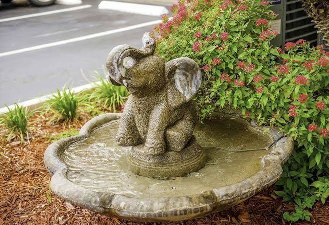 Hotel south tampa & suites