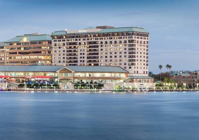 The westin tampa waterside