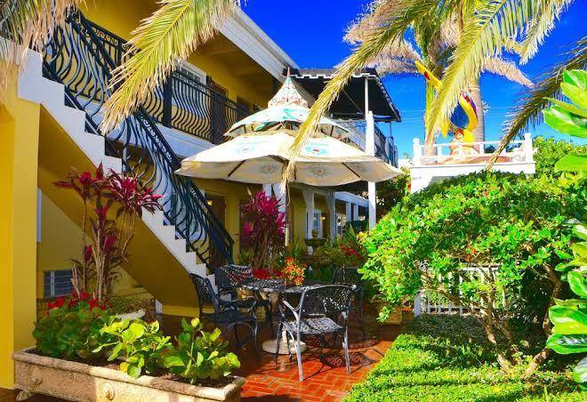 Sea turtle inn