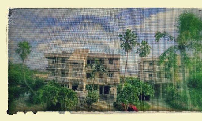 Shell island beach club
