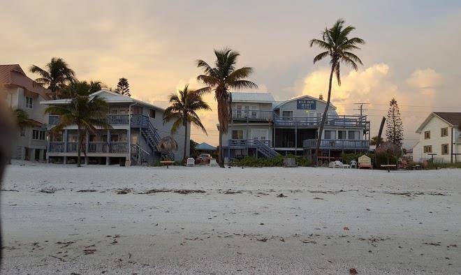 Wild wave resort