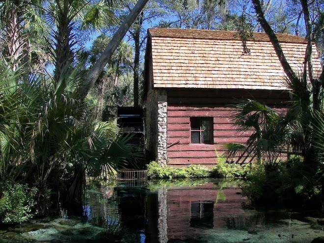 Juniper springs recreation area