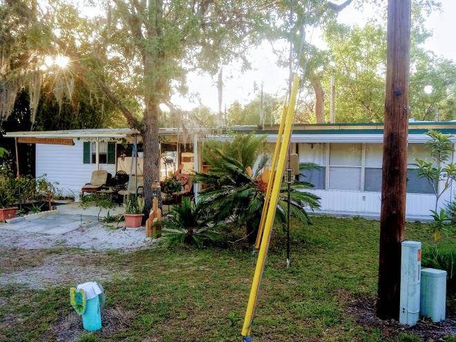 Pacificatimbers rv park