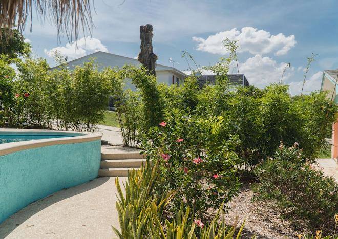 Oasis on the hill