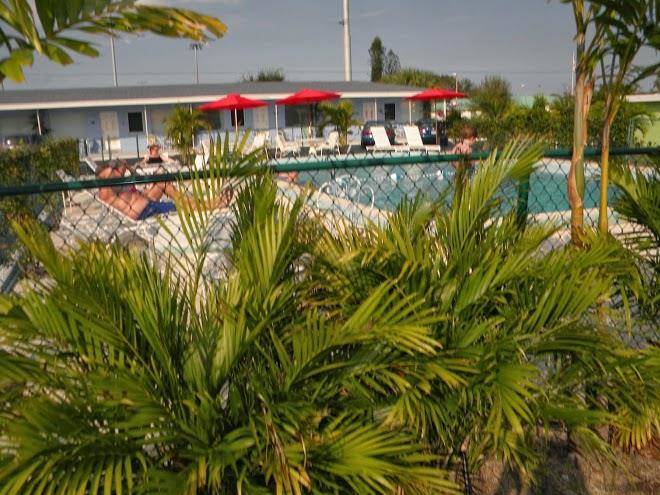 Park view motel