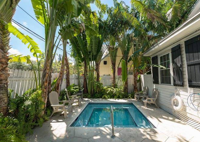 An Island Oasis Image