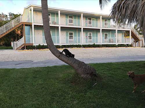 Bonefish bay motel & rv sites