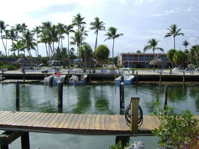 Breezy palms resort