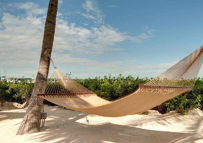 Coconut palm inn
