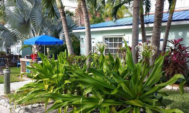 Island bay resort