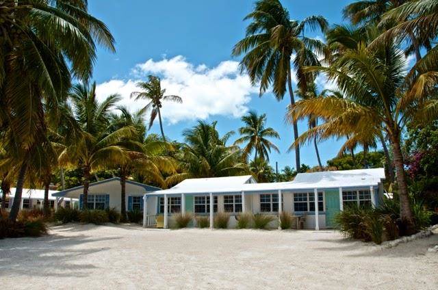 Pines and palms resort