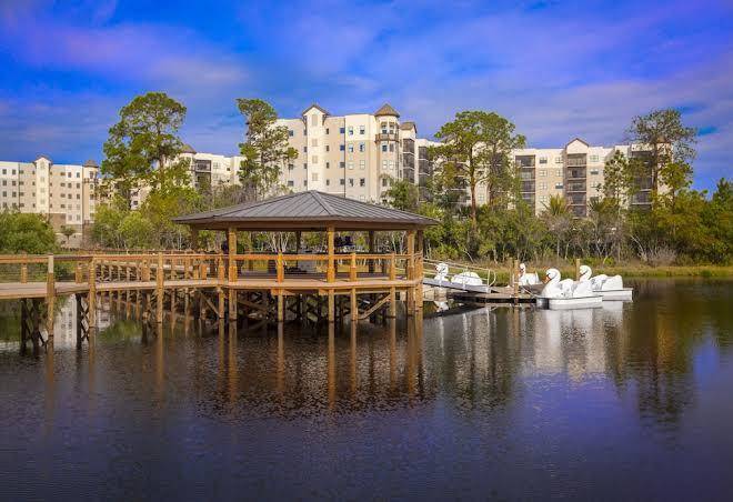 The grove resort & water park orlando