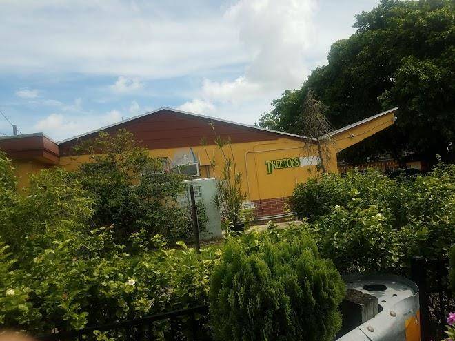 Treetops Motel Image