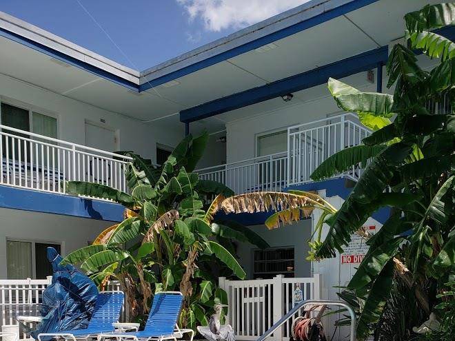 Great heron inn
