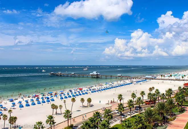 Hyatt regency clearwater beach resort and spa