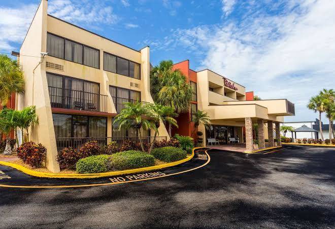 Tropical Palms Clearwater Image