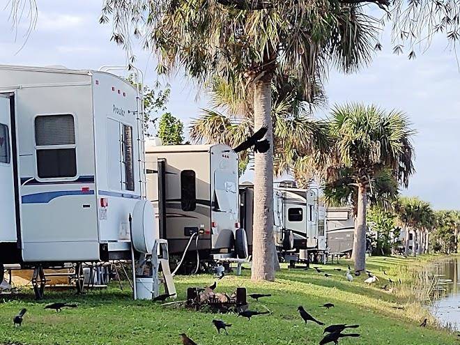 Savannas Recreation Area Image